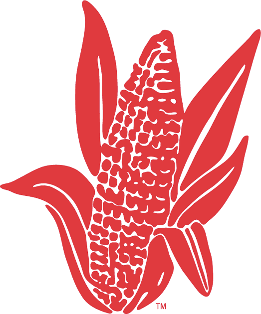 Nebraska Cornhuskers 1962-1973 Alternate Logo iron on transfers for fabric